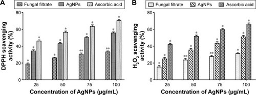 Figure 6 In vitro antioxidant activity of the biosynthesized AgNPs.Notes: (A) DPPH radical scavenging activity and (B) H2O2 radical scavenging activity. Ascorbic acid was taken as positive standard control. The data are represented in the form of a bar graph and plotted using mean ± SE of three replicates. P-values for significantly different mean values, *P<0.05 and **P<0.05 versus control.Abbreviations: AgNPs, silver nanoparticles; DPPH, 2,2′-diphenyl-1-picrylhydrazyl; SE, standard error.