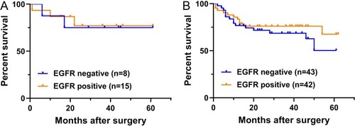 Figure 3 Kaplan-Meier curves of recurrence-free survival (RFS) according to the adjuvant therapy status in postoperative patients with LSCC. (A) RFS for EGFR-mutation patients with stage IA LSCC. (B) RFS for EGFR-mutation patients with stage IB-IIIA LSCC.