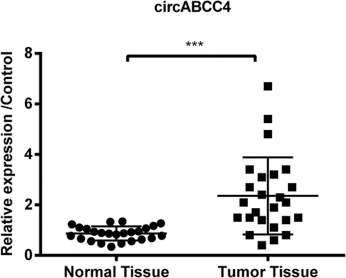 Figure 1. CircABCC4 level was more high in breast tumor tissues than in normal breast tissues. The level of circABCC4 was discovered by qRT-PCR. qRT-PCR, Quantitative real-time polymerase chain reaction; (n = 25). ANOVA remained responsible for P-values, ***P  < 0.001 was considered as significant results