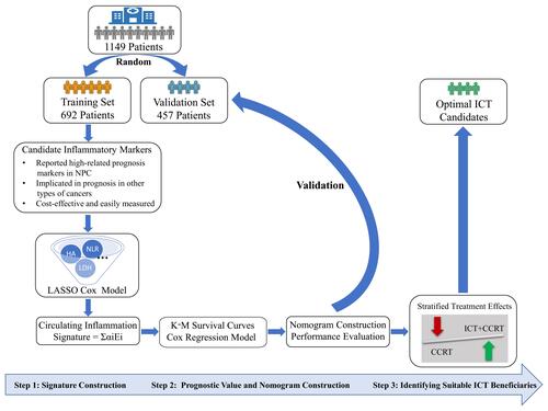 Figure 1 Schematic illustration of the study design.