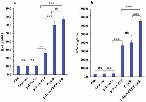 Figure 6. Cytokines’ levels in the culture media of the isolated splenocytes of the immunized mice after stimulation with the peptide vaccine in vitro. a) IL-4. b) IFN-γ. (*:P < .05, **:P < .005, ***:P < .001, ns: not significant)