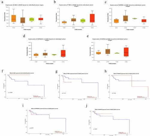 Figure 6. Subgroup expression analyses and survival analyses of hub genes in DLBCL patients using the UALCAN database. (a-e) The mRNA expression levels of hub genes in different clinical subgroups of DLBCL. (a) UBC; (b) TSR1; (c) WDR46; (d) HSP90AA1; and (e) NOP56. (f-j) Relationship between the expression level of hub genes and the overall survival time of DLBCL patients. (f) UBC; (g) TSR1; (h) WDR46; (i) HSP90AA1; and (j) NOP56.