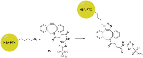 Scheme 6. Schematic representation of the synthesis of functionalised nanoparticles reported by Tatiparti et al.