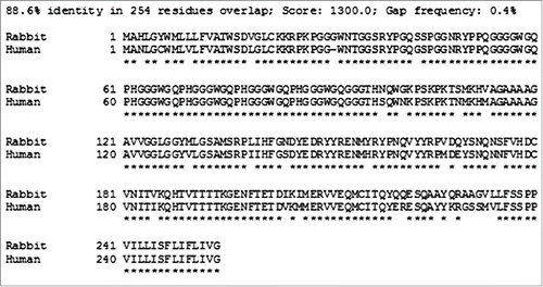 FIGURE 3. Comparison of human and rabbit prion protein amino acid sequences. The SIM - Local similarity program (Xiaoquin and Miller, 1991) was used to make the alignments.