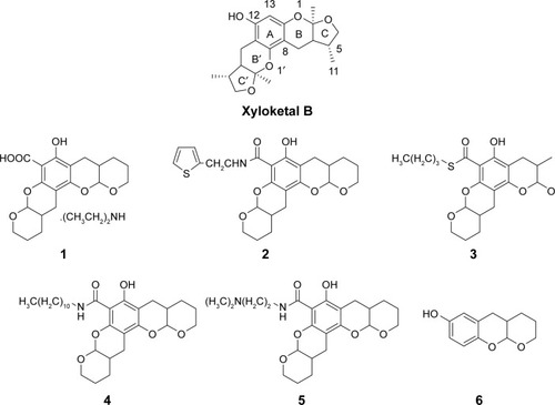 Figure 1 Structure of xyloketal B and compounds 1–6.