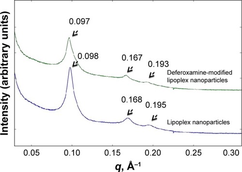 Figure 4 SAXS scattering profile of deferoxamine-modified and non-modified lipoplex nanoparticles (LNP).