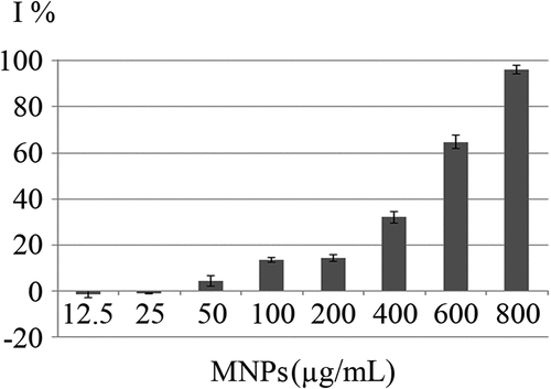 Figure 6. Growth inhibitory effects (I%) of MNPs on C. vulgaris cells over 12 days exposure