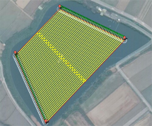 Figure 5. The survey line planning of pond 9-8 in the Taoyuan Canal.