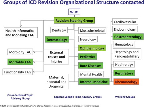 Figure 1. Framework of groups in charge of the international classification of diseases (ICD)-11 revision process.