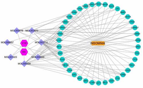 Figure 5. Component-disease-target network between BX-YYR and insomnia.