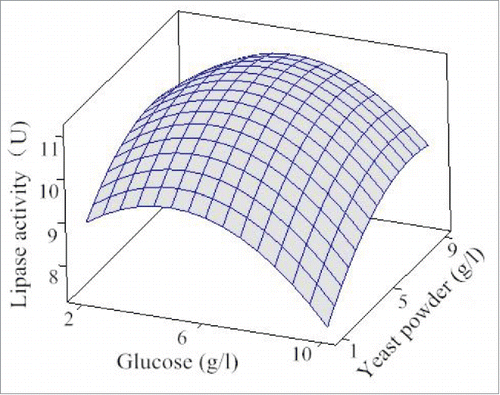 Figure 1. Response surface of lipase production effected by glucose and yeast powder.