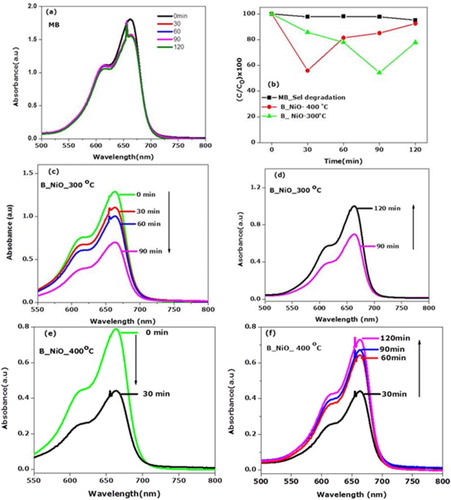 Figure 7. Light responses of biosynthesized NiO nanocrystals/water/MB system. (a) UV–visible spectra displaying the bleaching process of MB under UV radiation without biosynthesized NiO nanocrystals. (b) The plots of the ratio of MB in biosynthesized NiO nanocrystals/water/MB system vs. irradiation time. (c–f) UV–visible spectra displaying the bleaching/ recoloration process of biosynthesized NiO nanocrystals/water/MB systems.