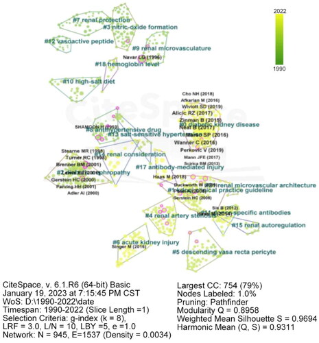 Figure 8. Density visualization map of co-cited references in renal microcirculation research.