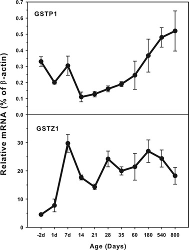 Figure 5. Age-related expression of GSTP1 and GSTZ1 in livers of rats. Livers from male SD rats at the fetus (−2 d before birth), the neonatal stage (1, 7, 14 and 21 d after birth), at puberty (28 and 35 d), at adult (60 and 180 d), and at aging (540 and 800 d), were collected to extract RNA. Expression of GSTP1 and GSTZ1 was determined by real-time RT-PCR (n = 6 for each time point).