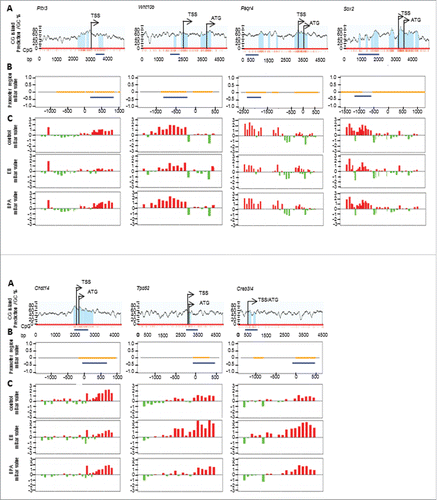 Figure 2. Representative results from genome-wide methylation study. A) Predicted CpG islands (light blue shaded areas) in the promoter region of differentially methylated genes (Pitx3, Wnt10b, Paqr4, Sox2, Chst14, Tpd52, and Creb3l4) identified in this study. TSS stands for transcriptional start site whereas ATG stands for translational start codon. Individual CpG sites are represented by red vertical lines. Dark blue horizontal line marks the region selected for BS-sequencing; B) Position of the BS-sequenced region (blue line) relative to the NimbleGen probes covered regions (dirty yellow lines) of each gene; C) Significant methylation level of each gene in vehicle- (control), EB- and BPA-treated groups, which were measured by NimbleGen array probes (mBar values). The height of the mBar represents the probe intensity; red and green bars represent positive and negative methylation value, respectively, relative to their respective input control.