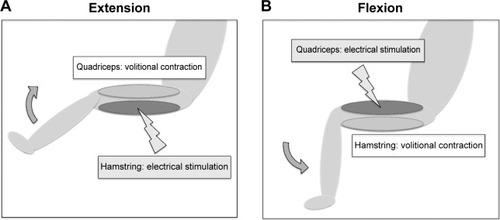 Figure 2 Principle of hybrid training.