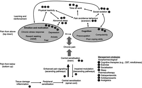 Figure 1 Multiple mechanisms of chronic pain and potential effects of management strategies.