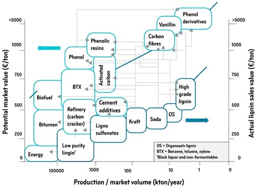 Figure 2. Lignin production and potential lignin-derived product market and value (reproduced diagram by (Gosselink Citation2011)).
