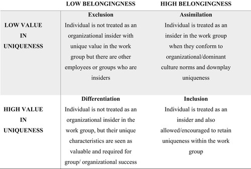 Figure 1. Framework for Analysis (Based on Shore et al., Citation2011).