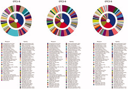 Figure 4. Relative distribution (%) of the main bacteria taxa detected in the rhizosphere of Korean red pine tree according to CO2 concentration. OTC1: elevated CO2 level as 1.4x (approximately 560 ppm), OTC2: elevated CO2 level as 1.8x (approximately 680 ppm), and OTC3: ambient CO2 level (approximately 380 ppm).