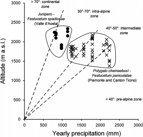 Fig. 3 Relation between altitude (m) and yearly precipitation (mm) for two Festuca paniculata associations: (•) Junipero-Festucetum spadiceae, (×) Polygalo chamaebuxi-Festucetum paniculatae. Lines show Gams’ continentality index thresholds (Gams’ angle) and define the ecological districts according to Ozenda (1985). Fig. 3. Relations entre l’altitude (m) et les precipitations annuelles (mm) pour les deux associations à Festuca paniculata: (•) Junipero-Festucetum spadiceae, (×) Polygalo chamaebuxi-Festucetum paniculatae. Les lignes indiquent les limites de l’indice de continentalité de Gams (angle de Gams) et définissent les domaines écologiques selon Ozenda (1985).