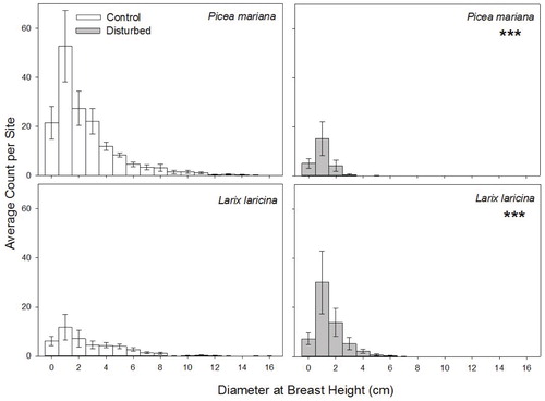 FIGURE 4. Size class distribution of trees in spruce peatland terrain. Bars show the mean number of trees in a given size class, and error bars represent the standard error of the mean (by site). Control and disturbed sites that have significantly different tree size distributions at a terrain level are marked with three asterisks (α = 0.05).