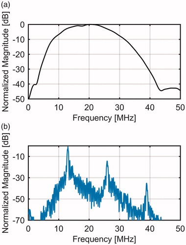 Figure 1. (a) Measured bandwidth of the RMV-710B transducer and (b) the frequency spectrum of a typical RF echo line through the gel phantom.