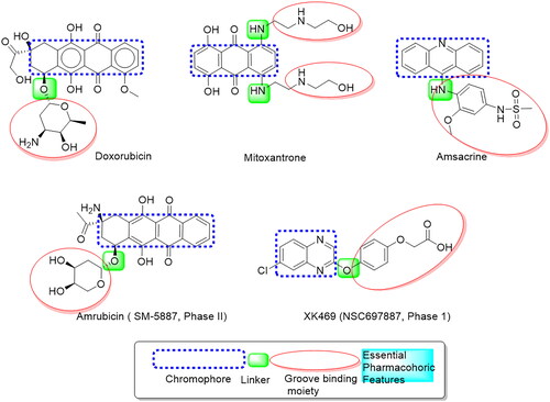 Figure 1. Basic features of some reported Topo II inhibitors.