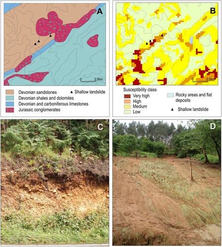 Figure 6. Rainfall-induced landslide triggered by June 2010 rainfall (Viescas) (A) Location of the landslides on the bedrock geology map, (B) location of the landslides on the susceptibility model, (C) unconsolidated conglomerates and sands in which the landslides were triggered (probably tertiary conglomerates and sands, see text) and (D) photograph showing one of the landslides.