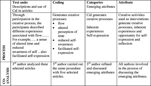 Figure 2. Analysis and co-analysis process.