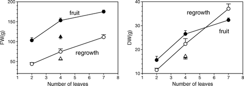 Fig. 3  Effect of leaf number on fresh weight (FW) and dry weight (DW) at 181 DAMB of a single type of sink (fruit = filled symbols, regrowth = hollow symbols). The single data point for four leaves when there was also a sink of the other type competing for resources is shown as a triangle. Error bars show the standard error.