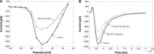 Figure 2 Local application of cAgNP to chromaffin cells. (A) A representativecurrrent-voltage (IV)-curve of a cell before and after application of cAgNP (16 μMol, gray;corresponding control, black). (B) records of INa before and after localapplication of cAgNP after 60 seconds (s) and 120 seconds.Abbreviations: cAgNP, coated silver nanoparticles; INa, sodium current;ms, milliseconds; mV, millivolt; NP, nanoparticles; pA, picoampere.