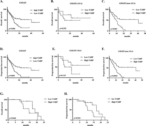 Figure 4. High TARP levels were associated with poor overall survival (OS) and progression-free survival (PFS) in non-APL AML cases, especially in non-AYA cases. (A–C). OS curves (GSE425); (D–F). PFS curves (GSE425); (G–H). OS and PFS of non-AYA AML patients with low- and high-relative TARP mRNA at our institute.