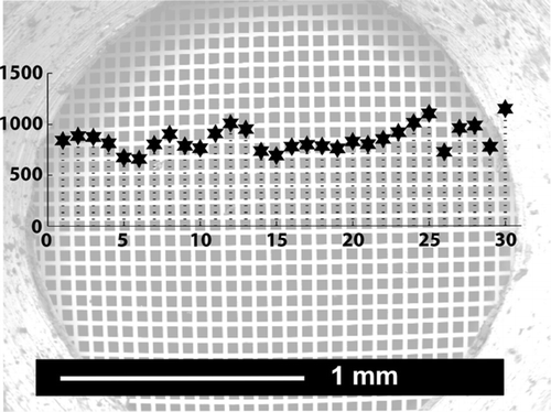 FIG. 5 Profile through a TEM grid. The stars indicate the number of particles detected on the corresponding mesh. The x-axis corresponds to the location of the profile. The numbers indicate the meshes on which the particles have been counted. A part of the grid is covered by the grid holder.