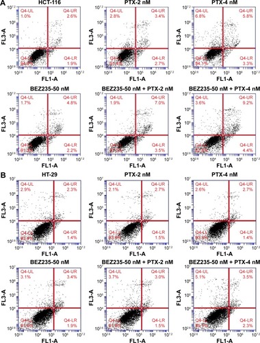 Figure 6 Annexin V apoptosis analysis for the combination treatment of BEZ235 and PTX.Notes: The flow cytometry analysis of apoptotic cell death shows that the cotreatment of BEZ235 and PTX has induced more cell death in (A) HCT-116 cells and (B) HT-29 cells than any single drug treatment at different doses of 2 nM and 4 nM for PTX and 50 nM for BEZ235.Abbreviations: FL1-A, Annexin V staining; FL3-A, propidium iodide staining; LL, lower left; LR, lower right; PTX, paclitaxel; Q4, quarter 4; UL, upper left; UR, upper right.