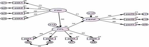 Figure 4. The structural model 2.