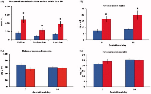 Figure 2. (A) Serum branched chain amino acid concentration (mmol/l) of pregnant rats on control diet (CD, blue bars), or high fat diet (HFD, red bars) on gestational day 10 (n = 6 in both CD and HFD groups). Mean ± SEM. * = P < 0.05 for CD vs. HFD. (B) Serum leptin concentration (ng/ml) on gestational day 0 and 10 of pregnant rats on CD (n = 9 and 6, blue bars), or HFD (n = 9 and 6, red bars). Mean ± SEM. * = P < 0.05 for CD vs. HFD. (C) Serum adiponectin concentration (μg/ml) on gestational day 0 and 10 of pregnant rats on CD (n = 9 and 6, blue bars), or HFD (n = 9 and 6, red bars). Mean ± SEM. (D) Serum resistin concentration (ng/ml) on gestational day 0 and 10 of pregnant rats on CD (n = 9 and 6, blue bars), or HFD (n = 9 and 6, red bars). Mean ± SEM. * = P < 0.05 for CD vs. HFD.