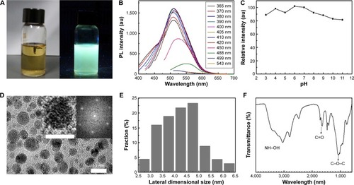 Figure 2 Physicochemical characterization of GQDs.Notes: (A) GQDs dispersed in PBS and illuminated with sunlight (left) and UV light (right). (B) PL spectrum of GQDs excited at wavelengths from 365 to 543 nm. (C) PL spectrum of GQDs under different pH values. (D) Transmission electron microscope image of GQDs. Insets are high-resolution transmission electron microscopy image (left) and the corresponding fast Fourier transform pattern (right). (E) Lateral size distribution of GQDs. (F) Fourier transform infrared spectrum of GQDs.Abbreviations: GQDs, graphene quantum dots; PBS, phosphate-buffered saline; PL, photoluminescence.