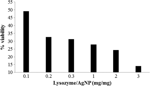 Figure 7. Evaluation of antimicrobial activity of free lysozyme and lysozyme–AgNP. The y-axis represents percentage viability of the bacterial growth employed by synergistic effect of lysozyme and AgNP.