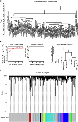 Figure 1 Co-expression network construction. (A). Clustering dendrogram of samples. (B). The scale-free fit index for soft-thresholding powers of 1–20 and the mean connectivity for 1–20 soft-thresholding powers. (C). Gene clustering dendrogram generated based on topological overlap matrix. (D). Modules clustering dendrogram based on correlations of module eigengenes.