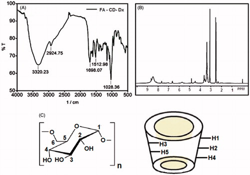 Figure 3. (A) IR spectrum of FA-CD-Dx. (B) 1H NMR spectrum of FA-CD-Dx. (C) Proton numbering in dextran and β-CD.