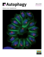 Cover image for Autophagy, Volume 9, Issue 9, 2013