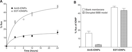 Figure 4 Permeability of aminosilane-coated-iron oxide nanoparticles and N-(trimethoxysilylpropyl)ethylenediaminetriacetate-iron oxide nanoparticles across blank membrane inserts (A) and compared with nanoparticle permeability in a disrupted model of the blood–brain barrier (B).Note: Values represent the mean ± standard error of the mean of three samples per treatment group.Abbreviations: AmS-IONPs, aminosilane-coated iron oxide nanoparticles; EDT-IONPs, N-(trimethoxysilylpropyl)ethylenediaminetriacetate-coated iron oxide nanoparticles; IONP, iron oxide nanoparticle; BBB, blood–brain barrier.