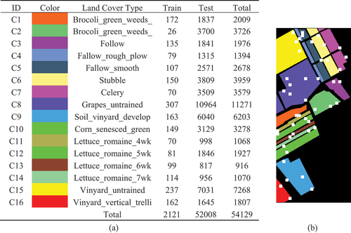 Figure 7. SA dataset. (a) Land cover type and sample settings. (b) Spatial distribution of training samples (white windows).