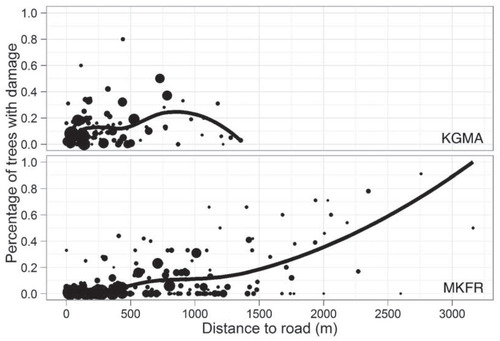 Figure 4. Percentage of trees with ungulate damage on a 40-m × 40-m plot in relation to the distance of the plot to the nearest road in the Ka'ohe Game Management Area (KGMA), where rifle hunting is prohibited, and in an adjacent portion of Mauna Kea Forest Reserve (MKFR), where rifle hunting is permitted. Generally, habitat conditions improved with hunter access (near roads) and where the method of harvesting game was more effective (rifle area). Dot size is proportional to the number of trees taller than 2 m on the plot (minimum = 1, maximum = 61, mean = 14.04). The line is a locally weighted scatterplot smoothing (loess smooth) with a span of 0.75 and degree of 2.