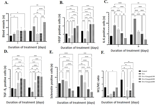 Figure 2 Effect of FSEE on number of blood vessels (A), VEGF expression (B), IL-6 expression (C), TGF-β1 expression (D), sclerostin expression (E), and ratio of M1/M2 (F). Data are shown as mean ± SEM. *p<0.05, **p<0.001, ***p<0.0002, ****p<0.0001.