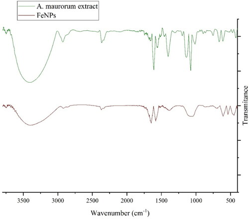 Figure 2. FT-IR spectra of Alhagi maurorum extract and green synthesized FeNPs.