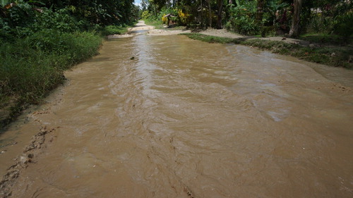 Figure 1. The North Road about 1.5 km north of Malu’u in June 2014.