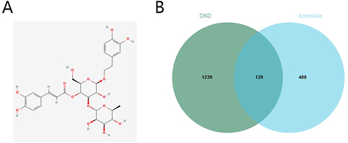 Figure 2 (A) The chemical structure of ACT. (B) Venn diagram of the overlapping genes of ACT and DKD.