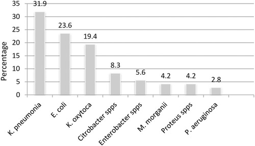 Figure 1 Frequency of ESβL-producing gram negative bacilli (K. pneumonia is the leading ESβL producing gram-negative bacteria).